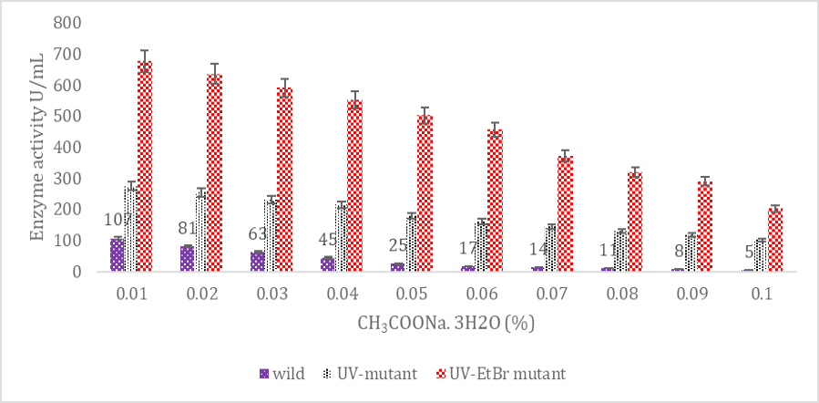 Figure 5: