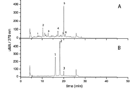 Figure 3: