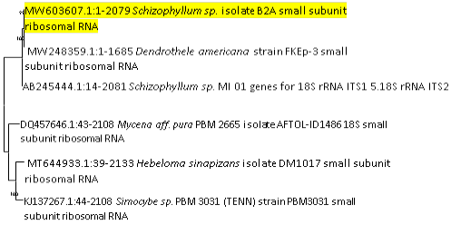 Figure 4: