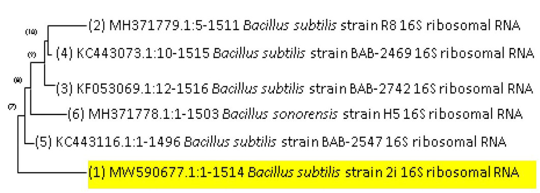 Figure 3: