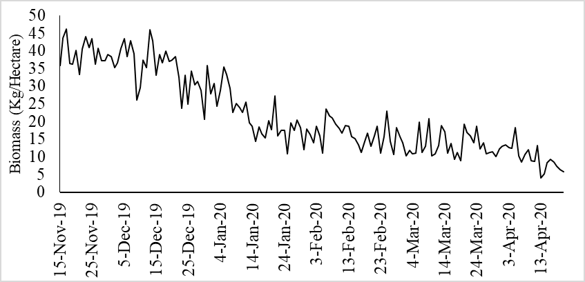 Figure 11: