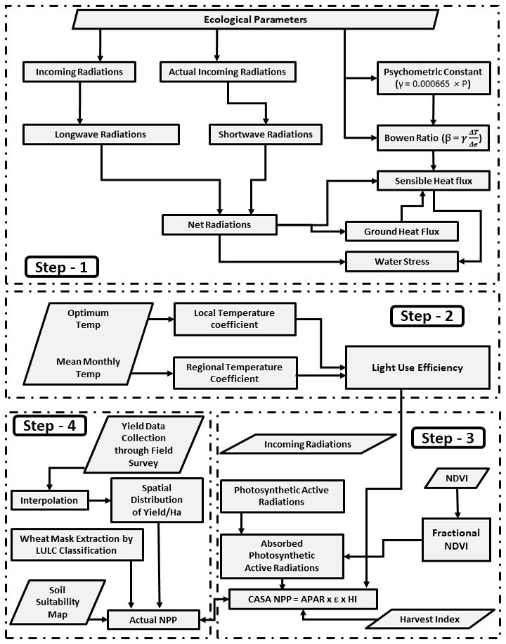 Figure 2: