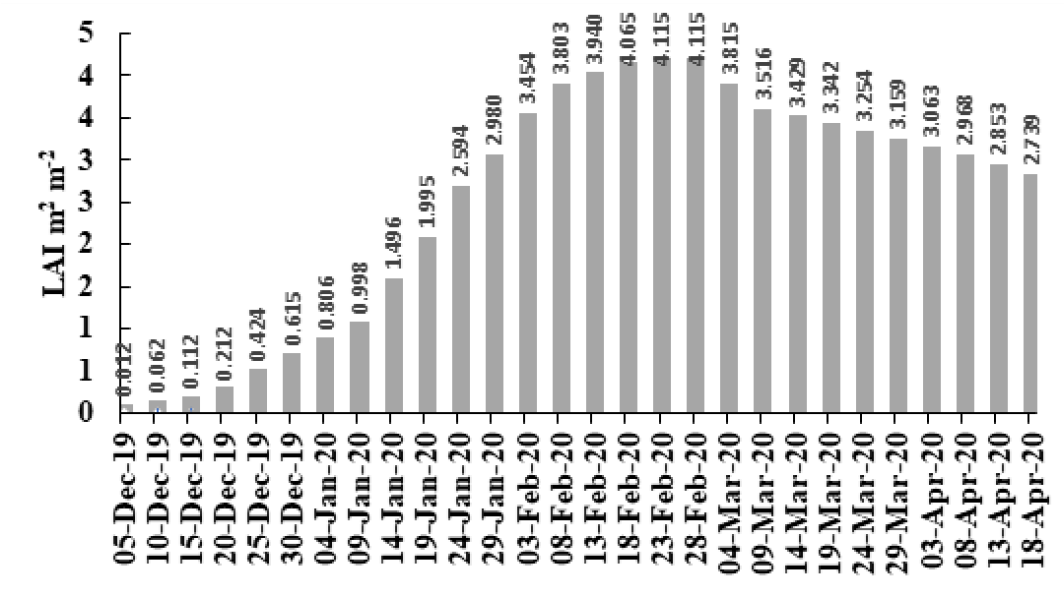 Figure 3: