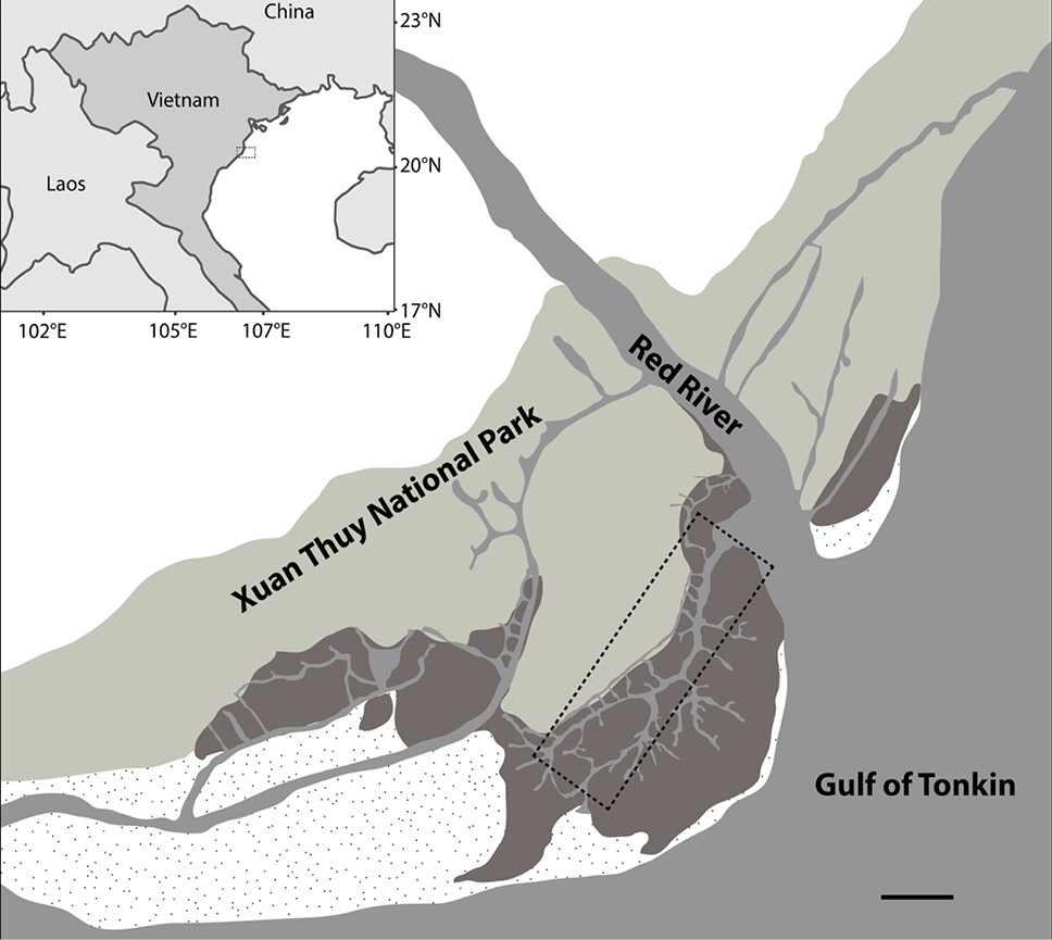 Fig. 1.