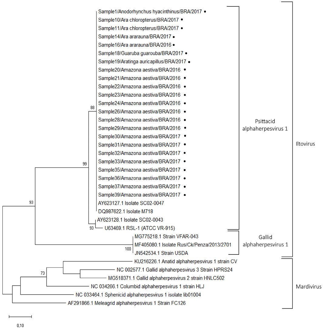 Figure 2: