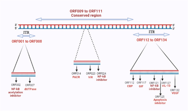 Figure 1: