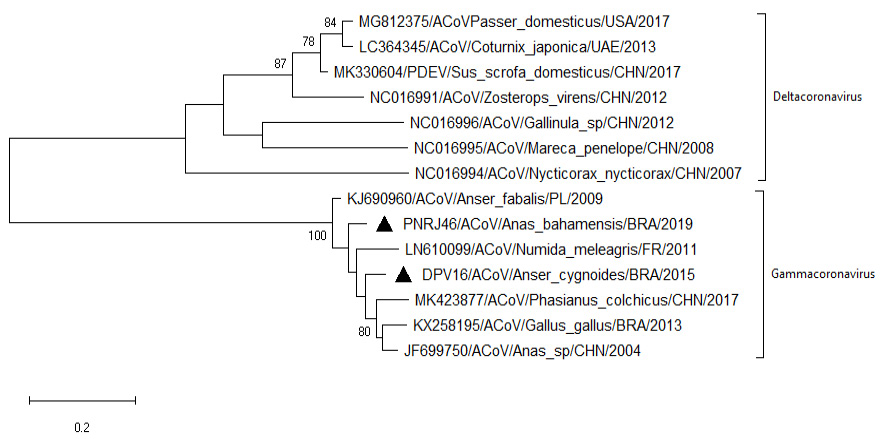 Figure 3: