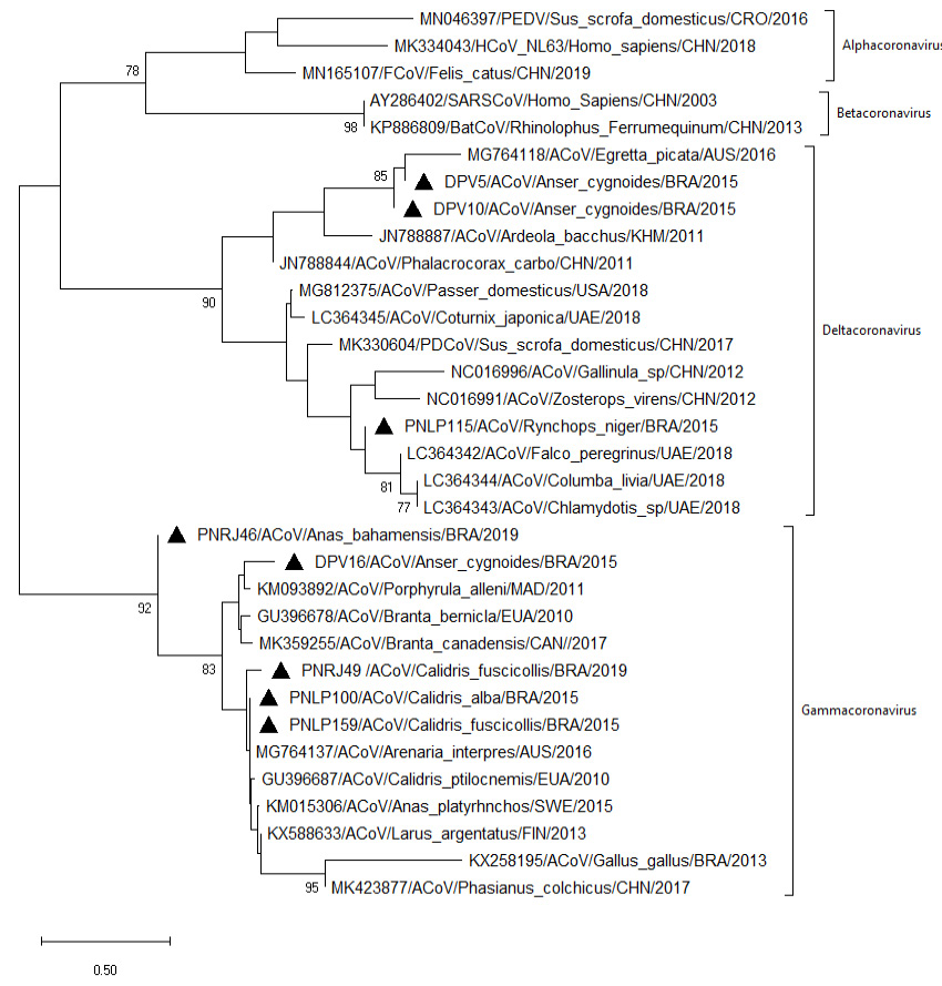 Figure 2: