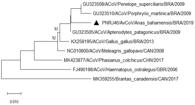 Figure 4: