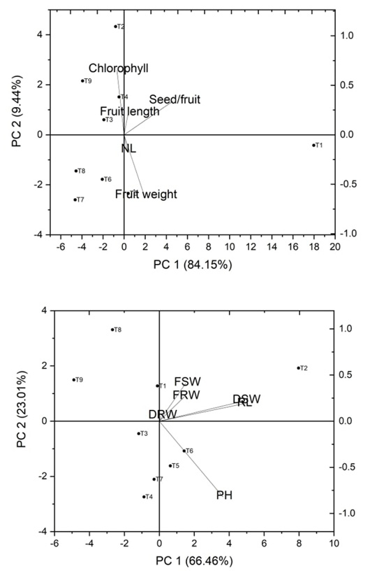 Figure 4:
