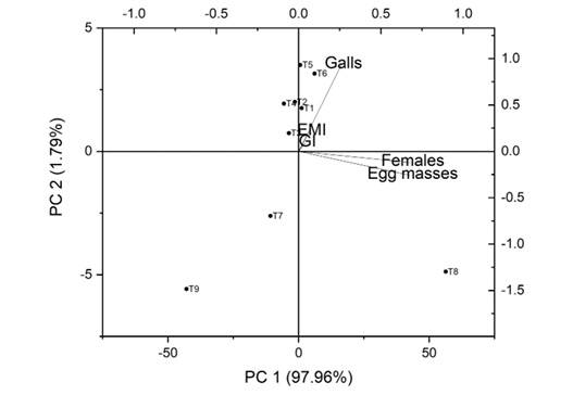 Figure 5: