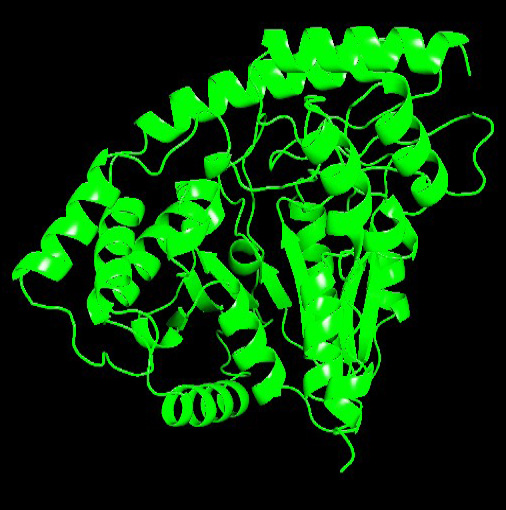 Fig. 4.