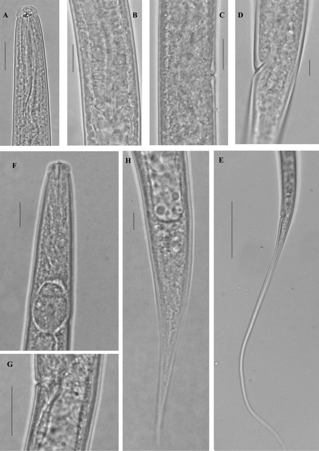 Figure 15: