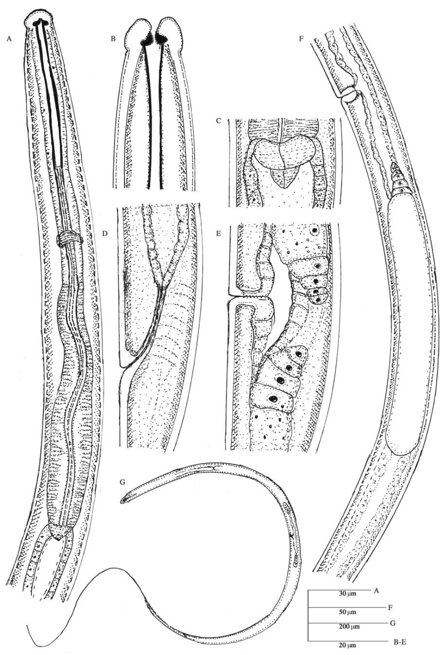 Figure 9: