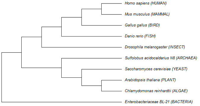 Fig. 9.