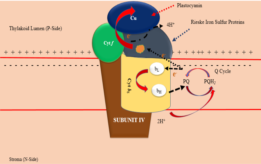 Fig. 4.