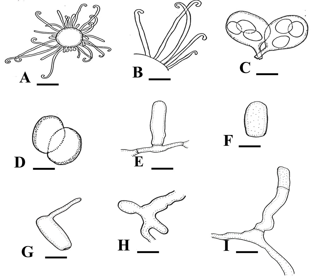 Figure 2: