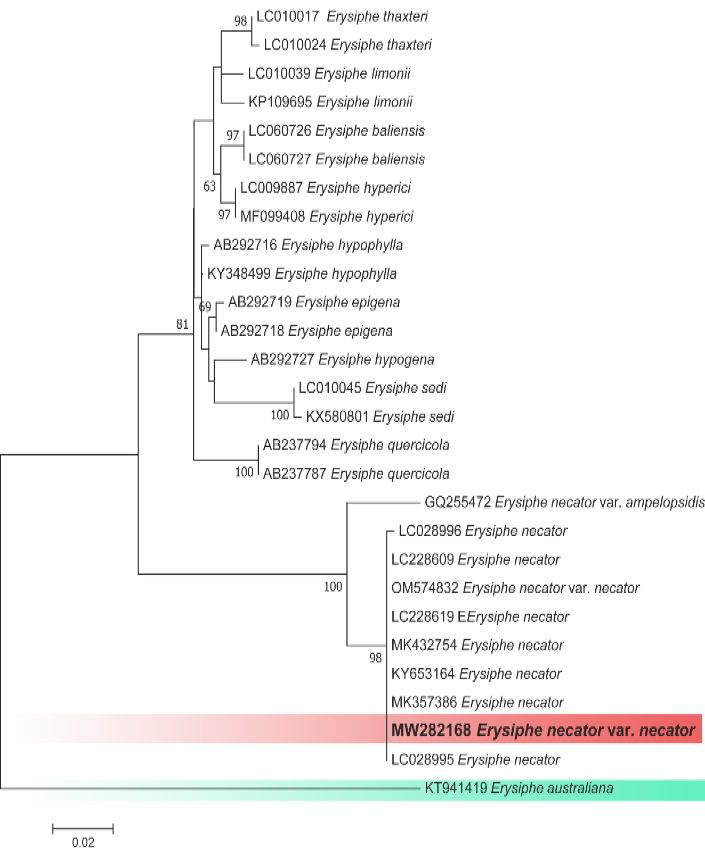 Figure 3: