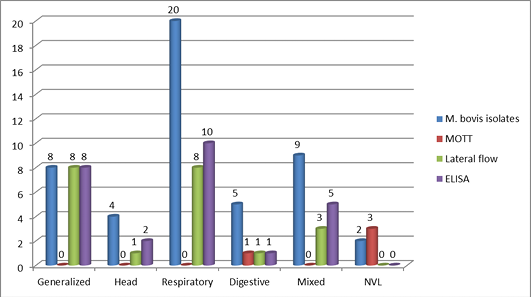 Figure 5: