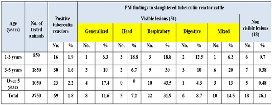 Table 3: