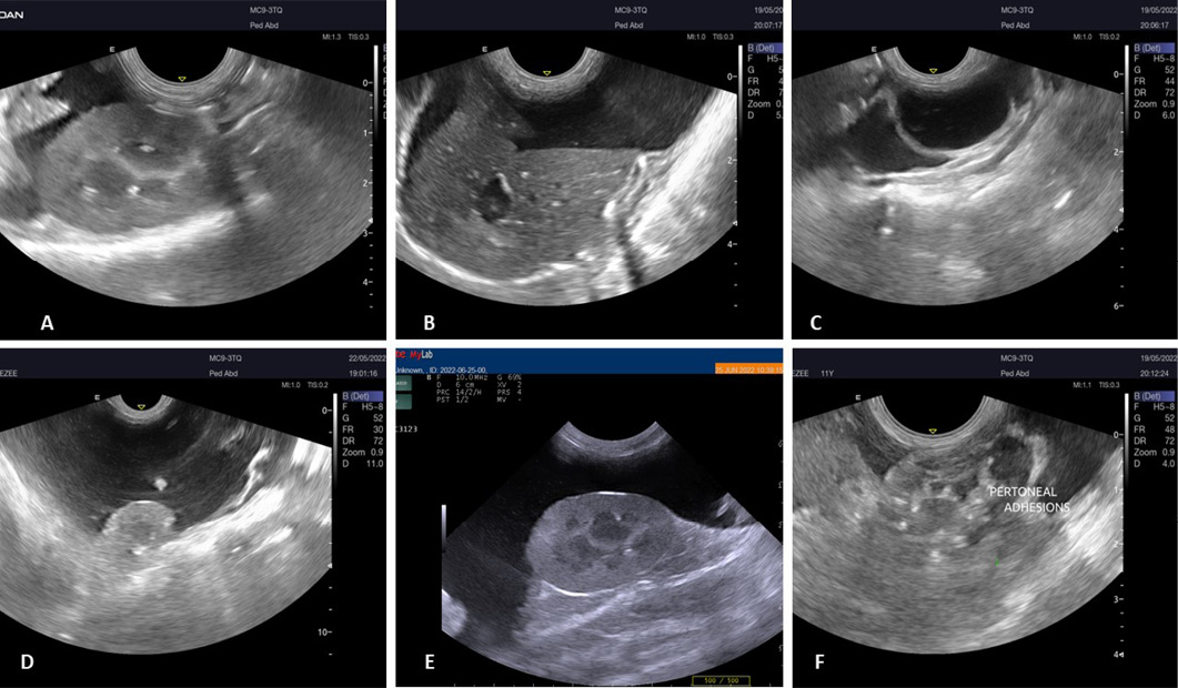 Figure 2: