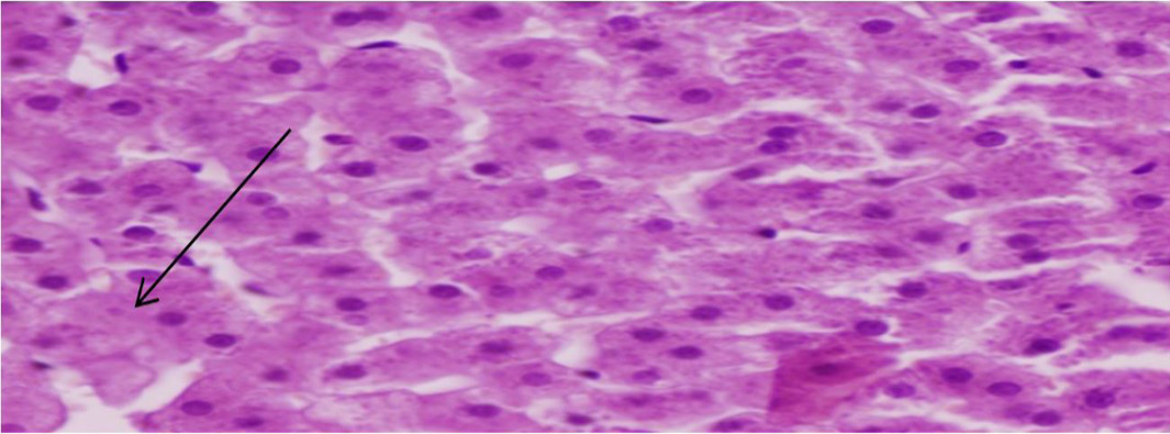 Figure 4: