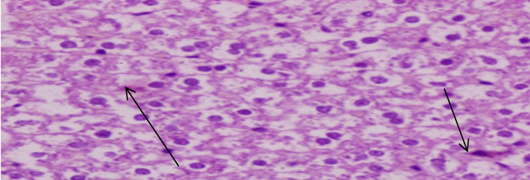 Figure 3: