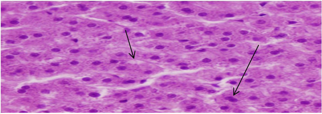 Figure 2: