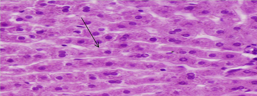 Figure 6: