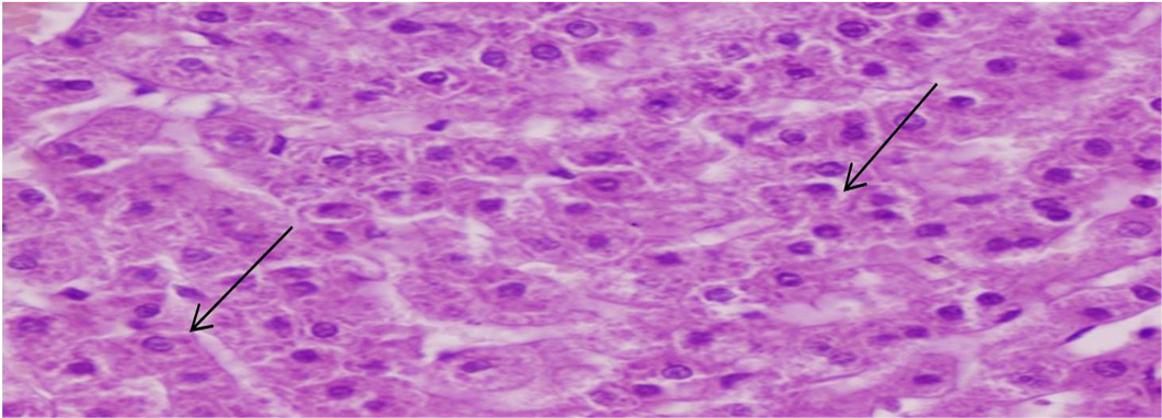 Figure 5: