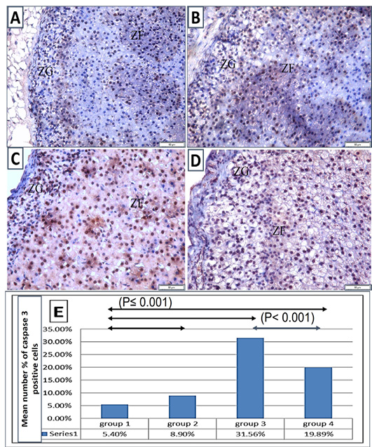 Figure 5: