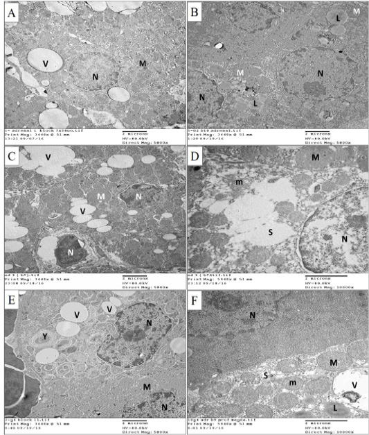 Figure 7: