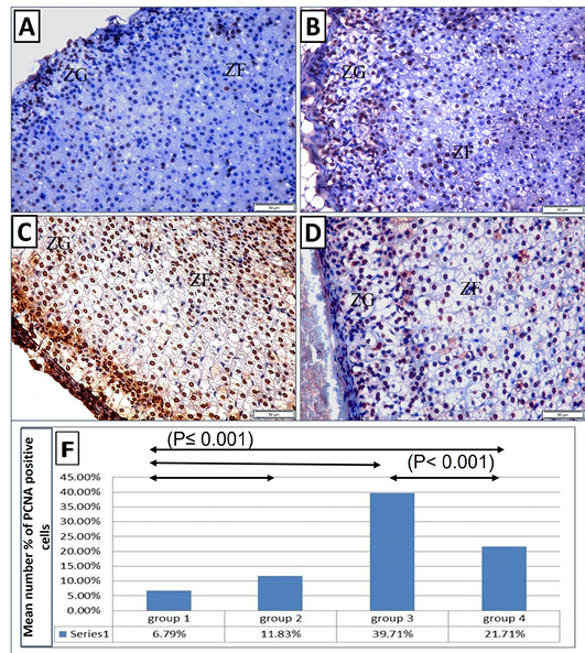 Figure 6: