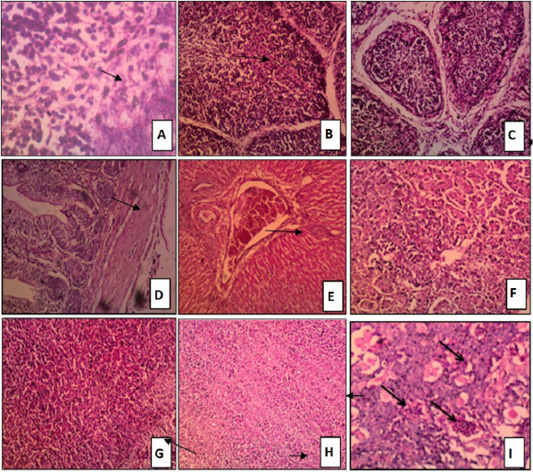 Figure 3: