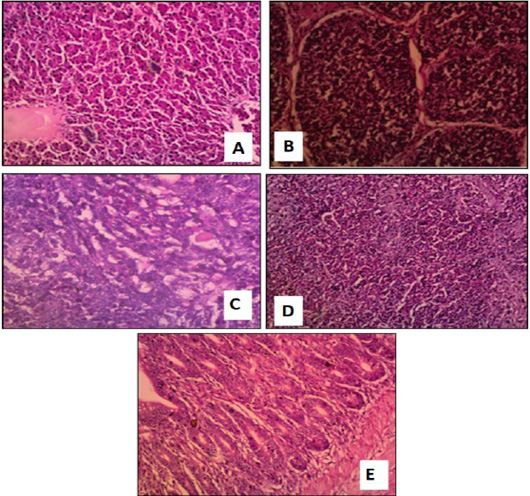 Figure 2: