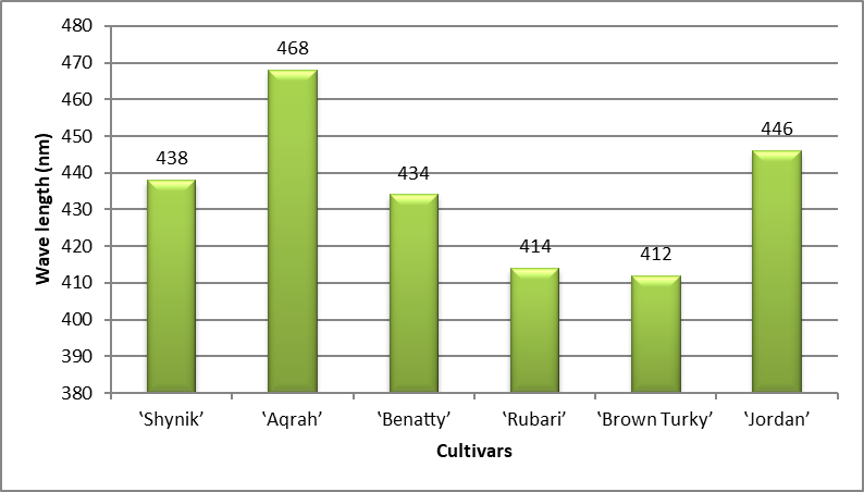 Figure 2: