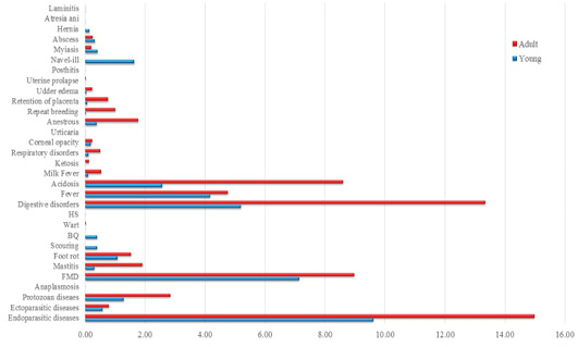 Figure 3: