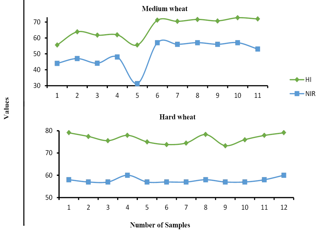 Figure 6: