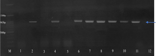 Figure 6: