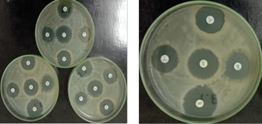 Figure 2: