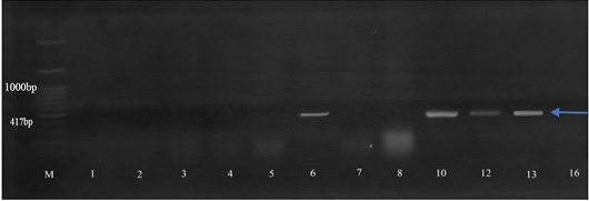 Figure 4:
