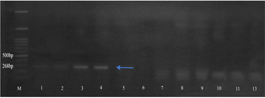 Figure 5: