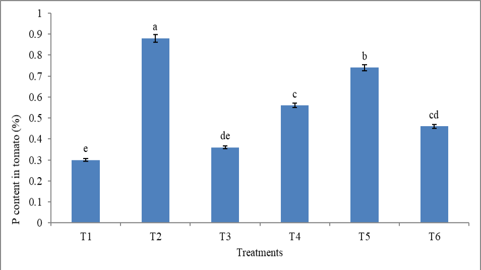 Figure 5: