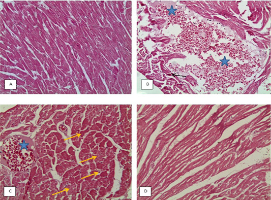 Figure 6: