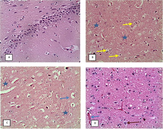 Figure 9: