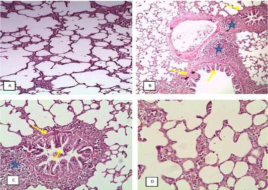 Figure 7: