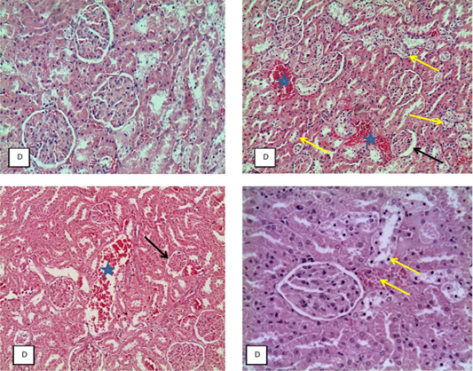 Figure 5: