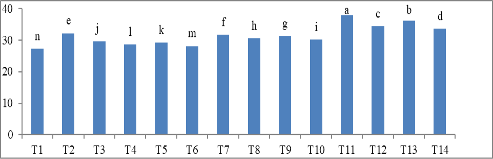 Figure 7: