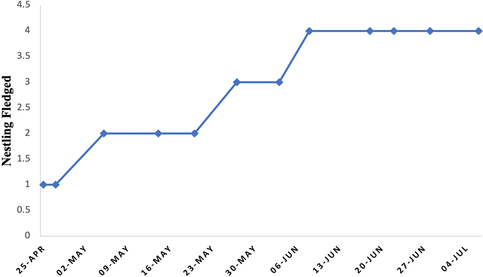 Fig. 3.
