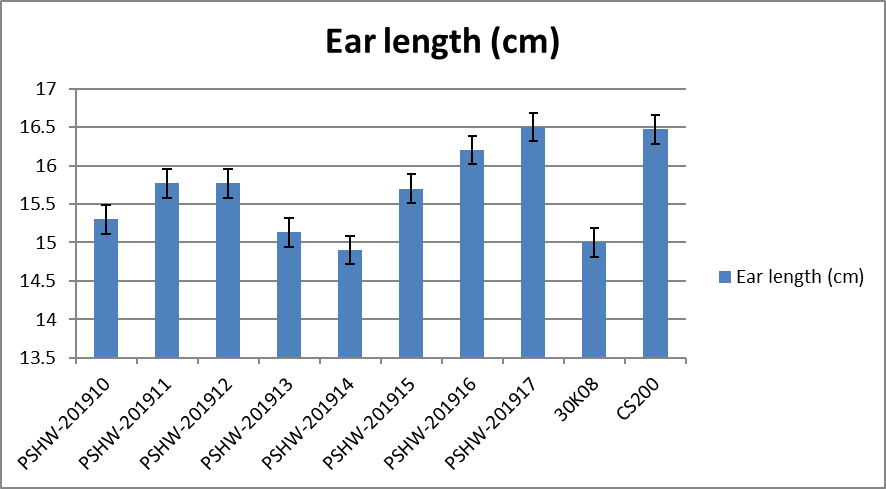 Figure 4: